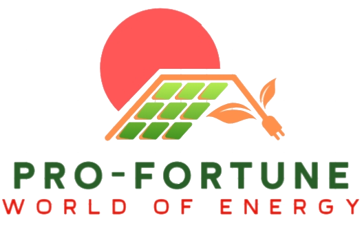 pro-fortune.com
